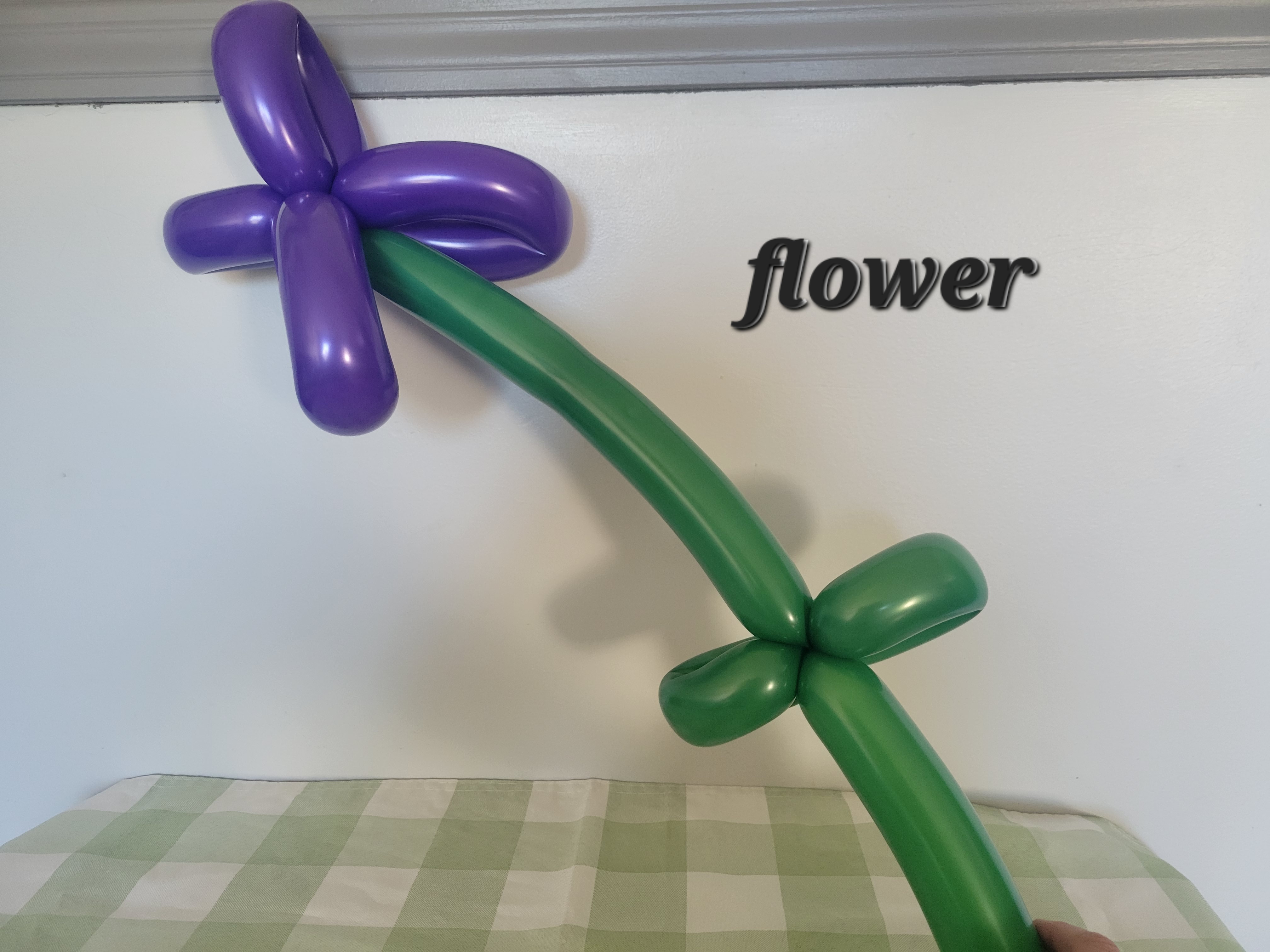 purple and green balloon flower