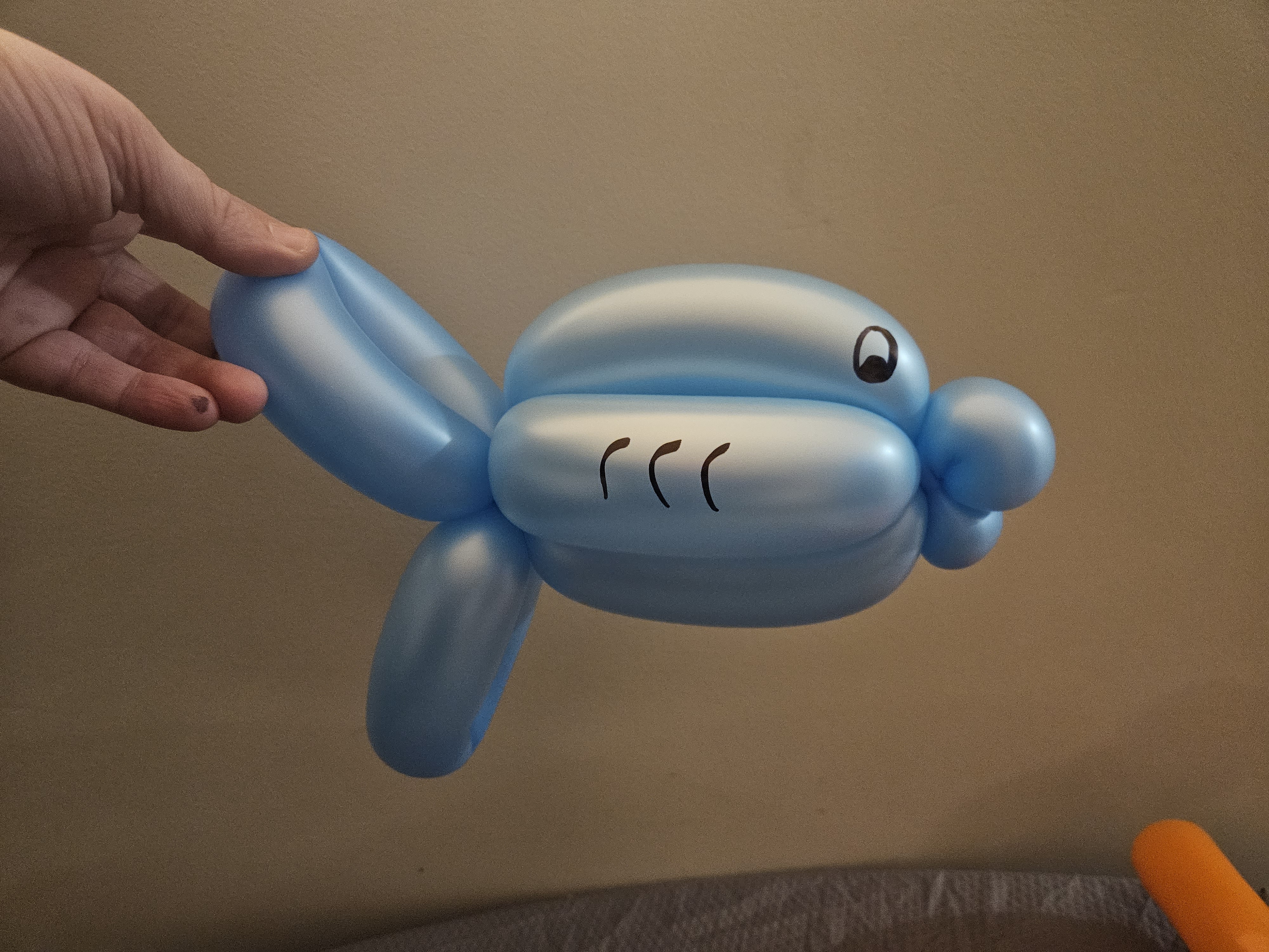 blue balloon fish