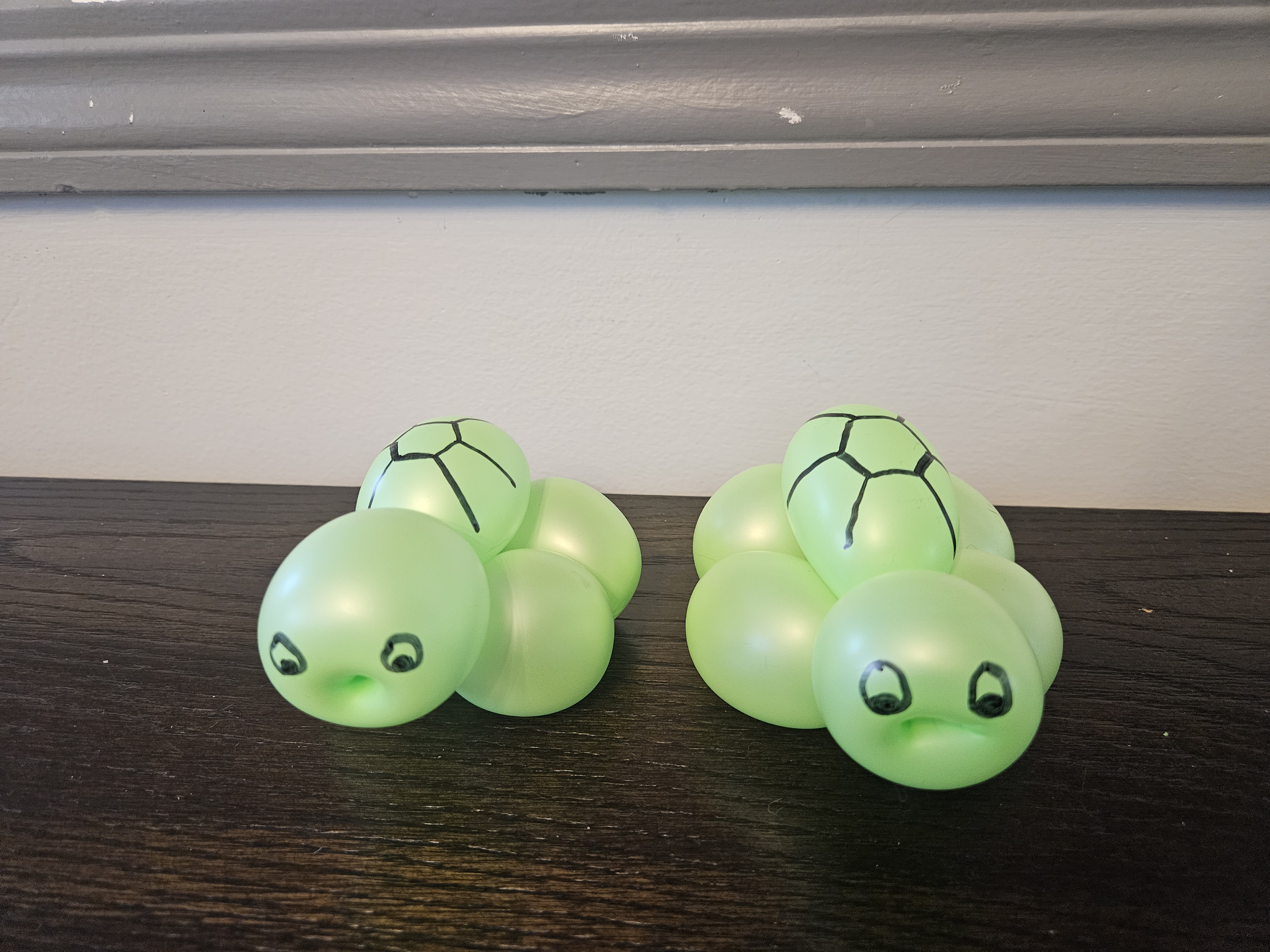 balloon turtles