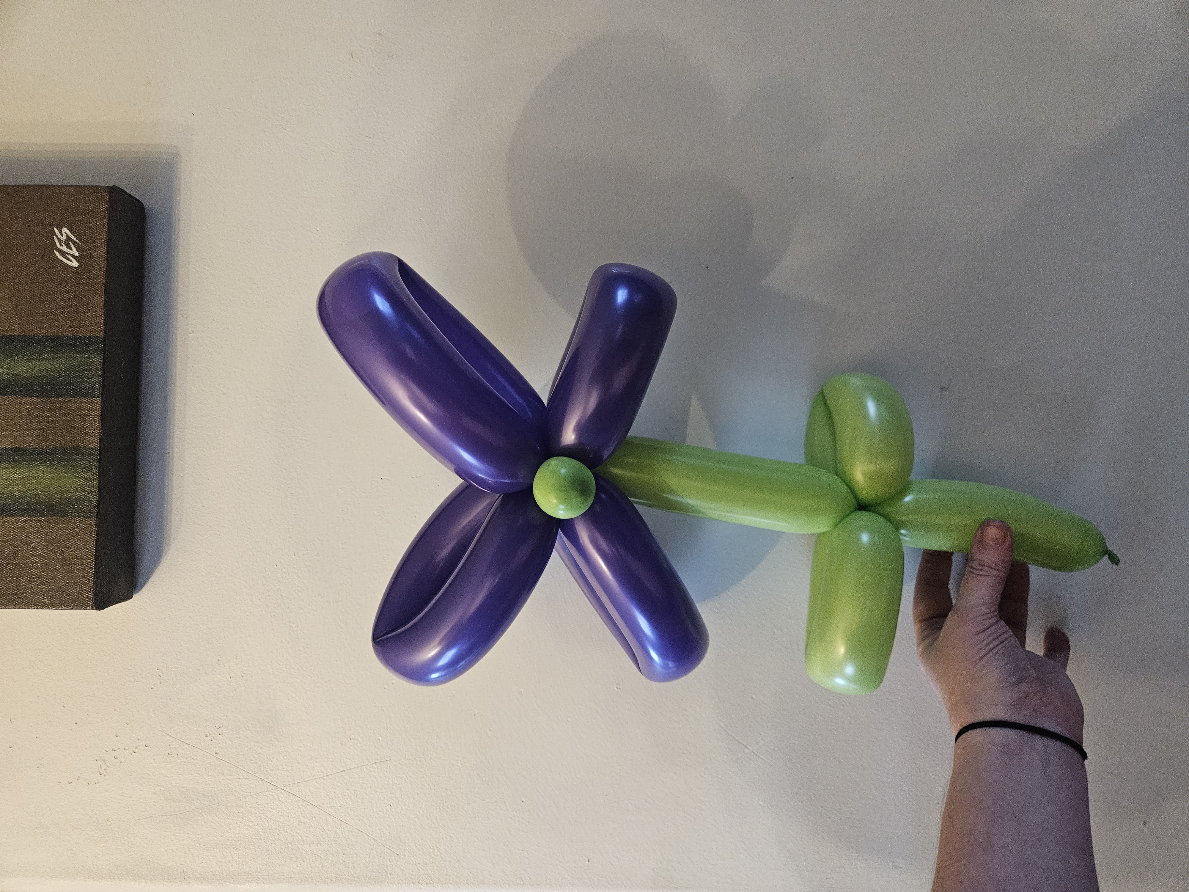 tiny purple balloon flower
